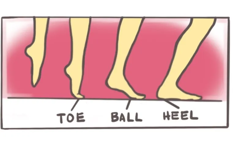 Articulate the feet: TOE – BALL – HEEL!